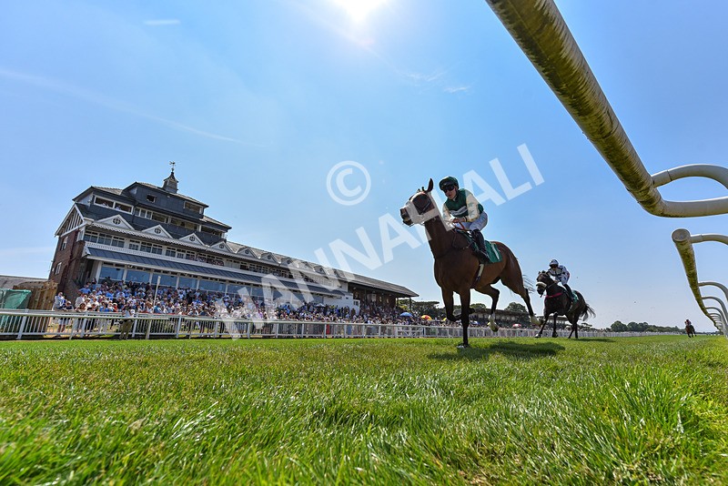 160726-Race 1-Clementines Star-3308 - Race 1 13.53pm Best Ticket Deals Online @thirskraces Book Now Restricted Maiden Fillies' Stakes