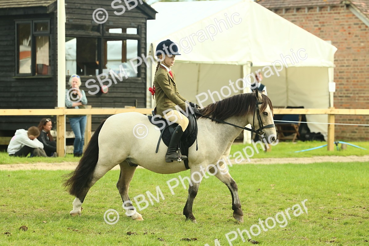SBM_69773 - S59 - Mountain & Moorland Ridden Small Breeds