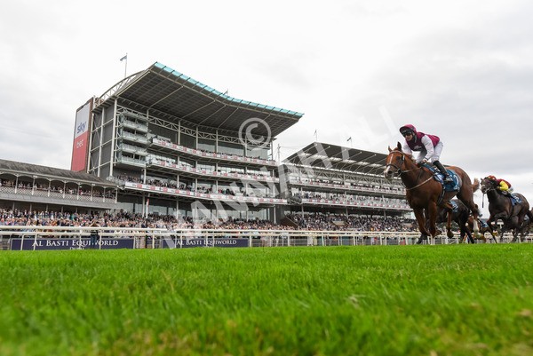 230823-Race 7-Zoulu Chief-1098 - Race 7 5.20pm Sky Bet Nursery Handicap