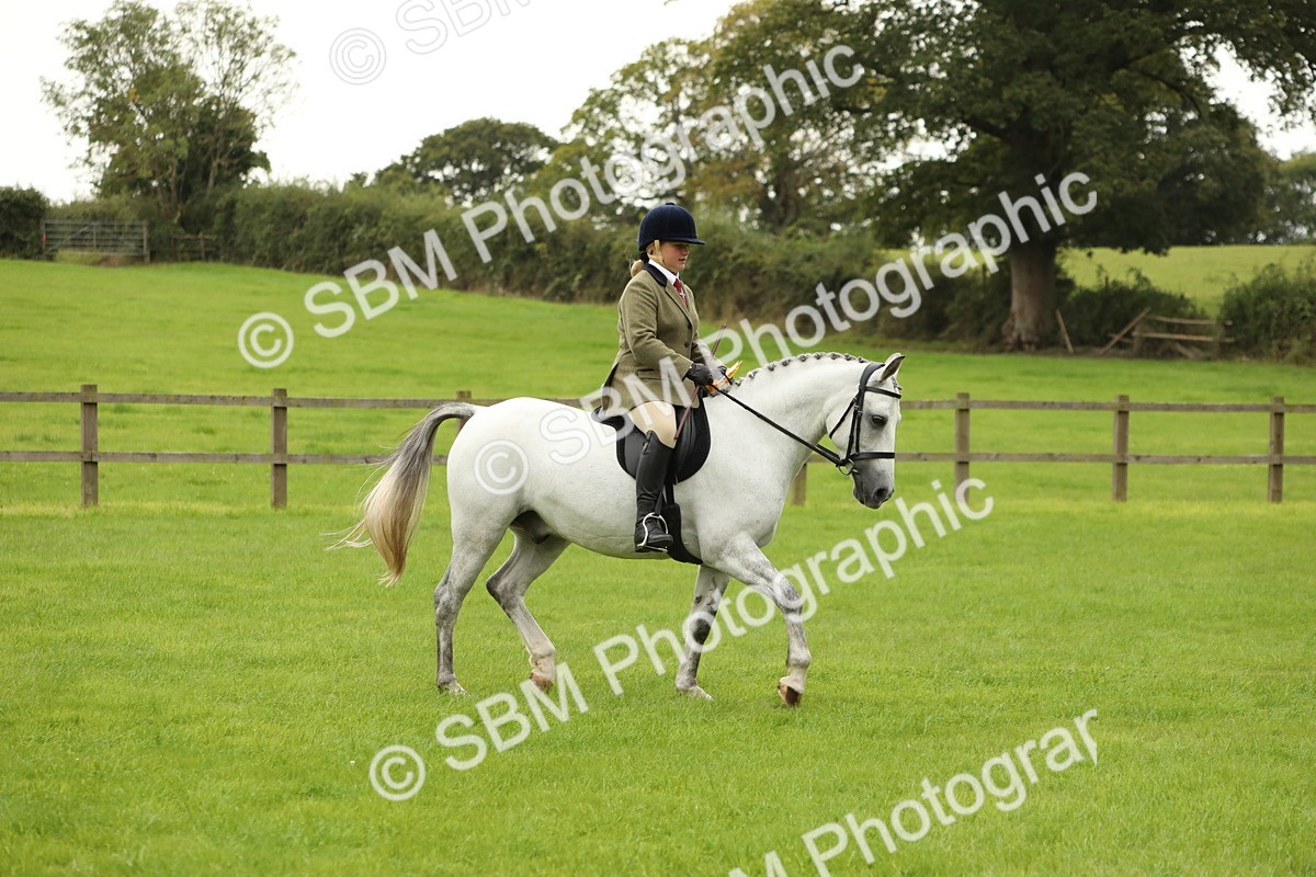 SBM_71457 - S41 - Ridden Equitation (Best Rider)