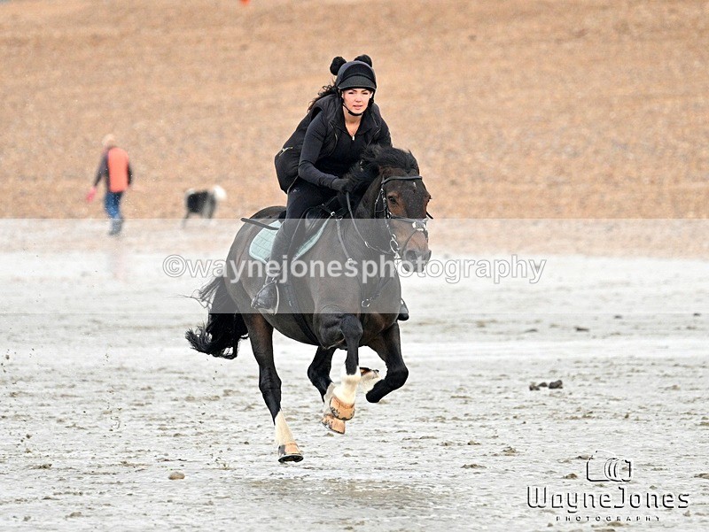 WJ7_9469 - Hayling Island Beach Shoot 22-09-24