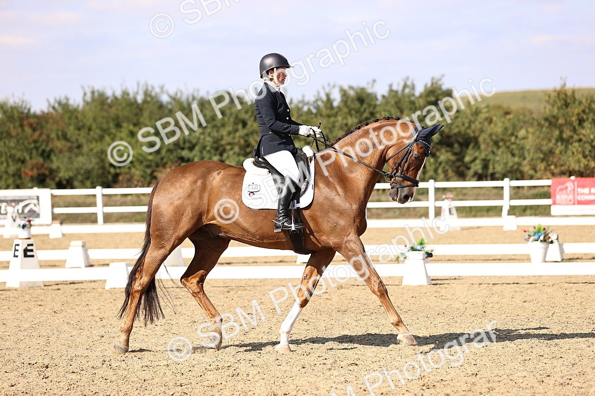 SBM_015259 - Class 8 - Medium 5