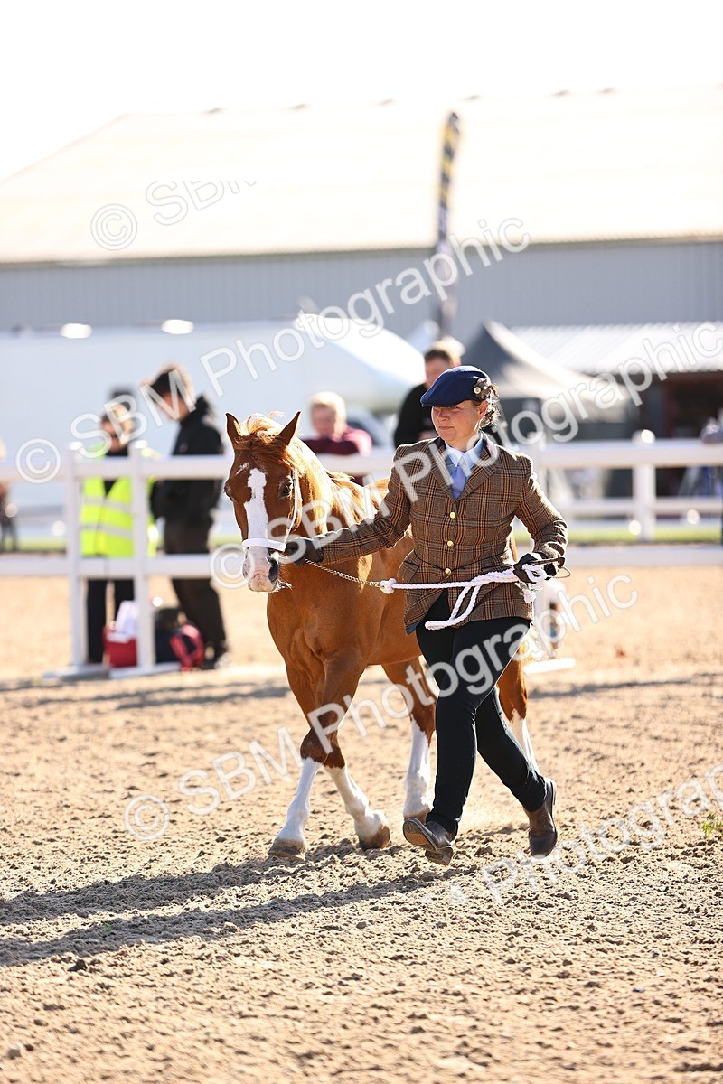 SBM_08502 - Class 402 - IH Veteran Pony
