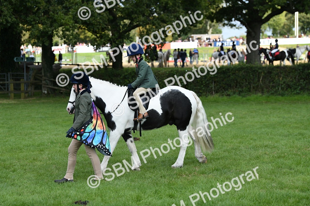 SBM_46995 - S12 - Family Horse & Pony