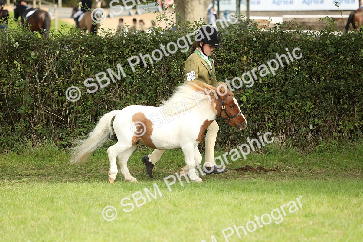 SBM_68525 - S40 - Junior Handler 9-12 Years