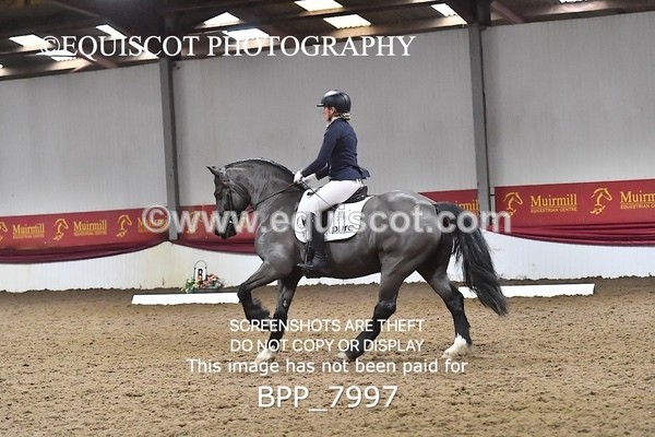 BPP_7997 - ELEM TEST 6