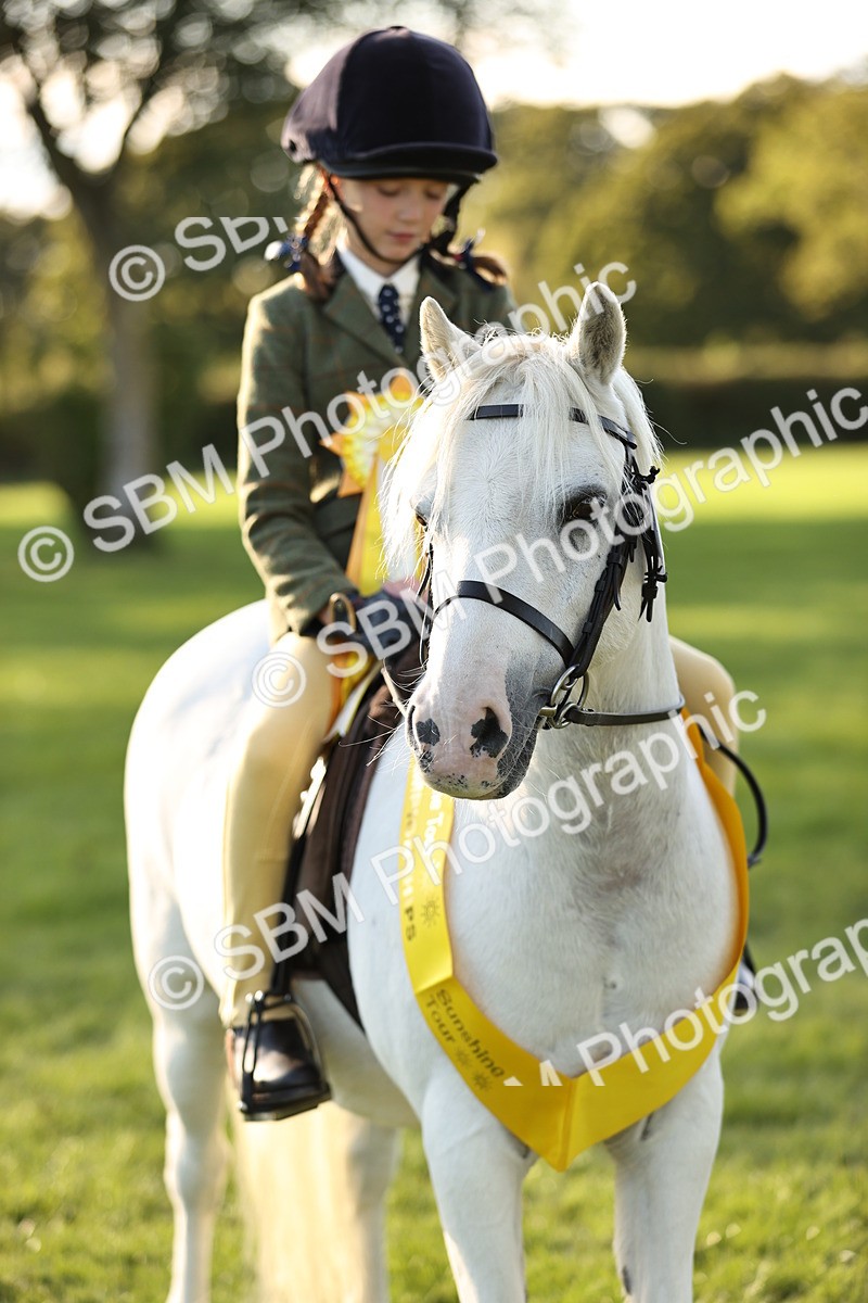 SBM_29484 - S7 - Novice & Newcomers Ridden Pony