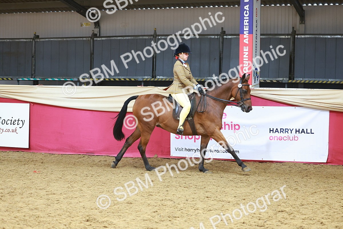 SBM_12457 - Class 103 - HOYS Veteran Qualifier - Ridden Pre Vet