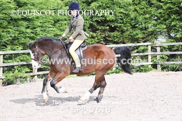BPP_7618 - RING 1  (RIDDEN HORSES / IN HAND / VETERAN ETC)