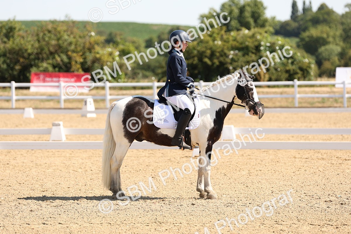 SBM_001041 - Intro 2