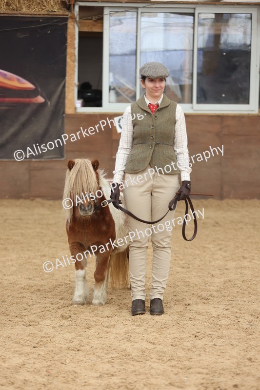 20251109-0321 - Class 13 - Mares 4 Years and Over