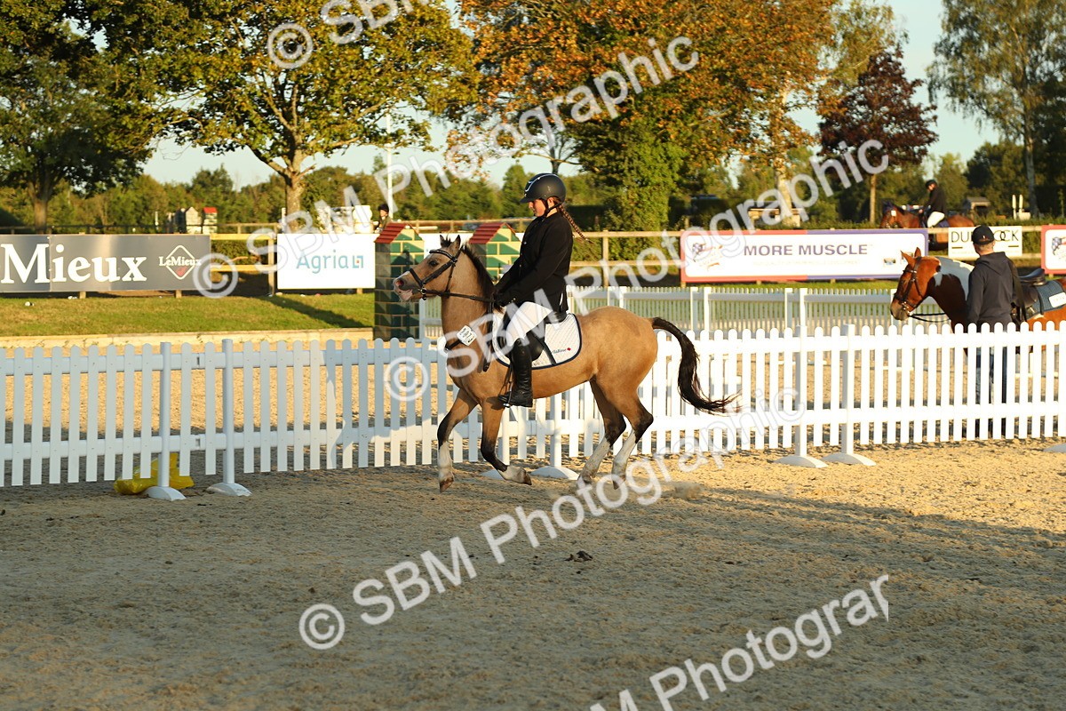 SBM_53968 - J8 - Junior Pony 65cm Championship