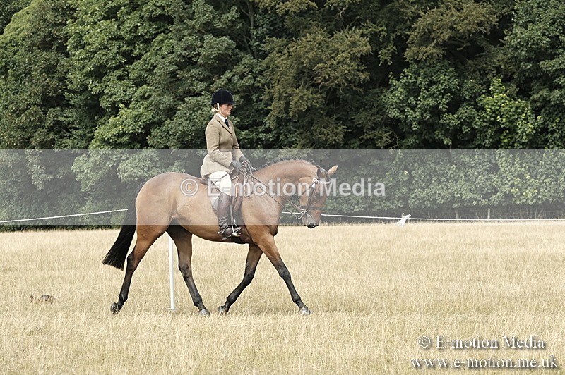 _PJP6086 - BVRC Show 2018 Ring 1