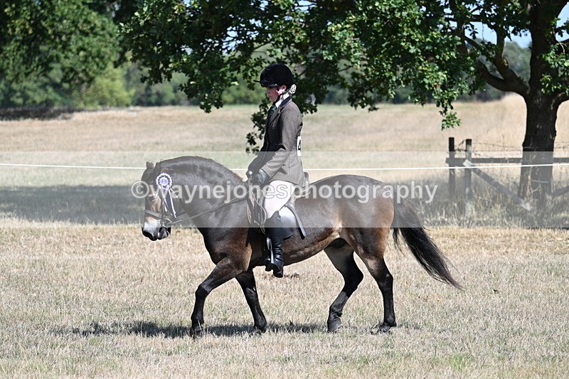 WJ7_4258 - Class 9 Mountain & Moorland Ridden