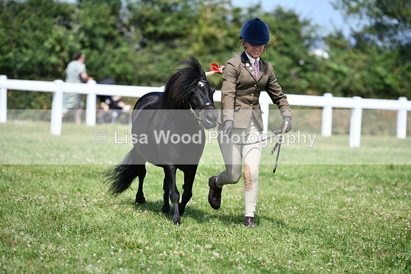 DSC_8172 - Class 67: Child Handler 11 - 16 years