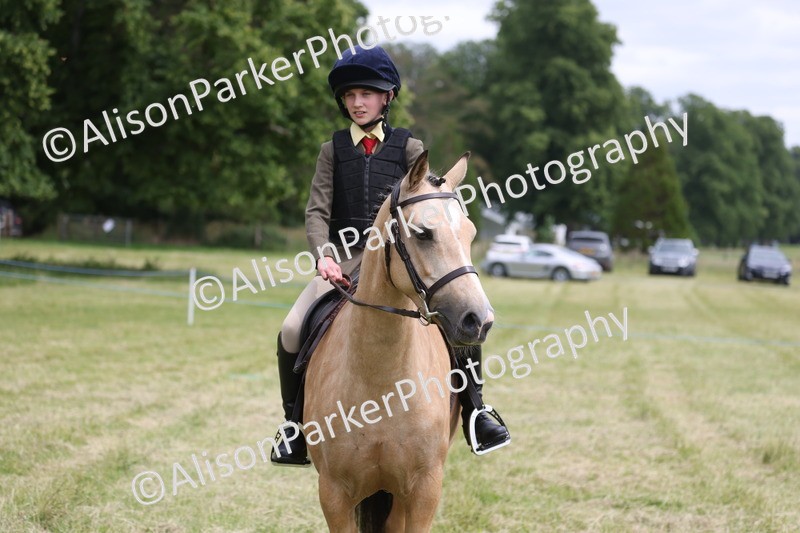 20260614-2981 - Class 22 - Open Working Hunter