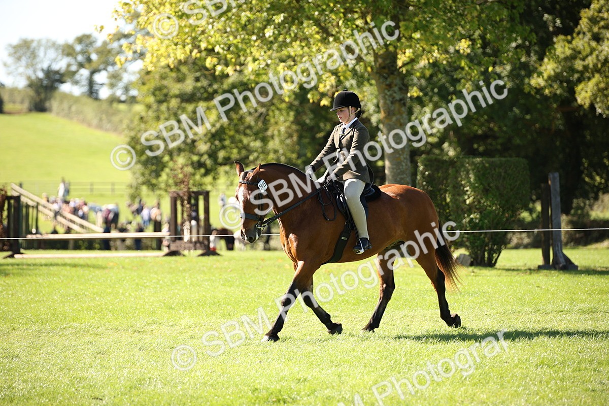 SBM_38952 - S11 - Best Ridden Horse & Pony
