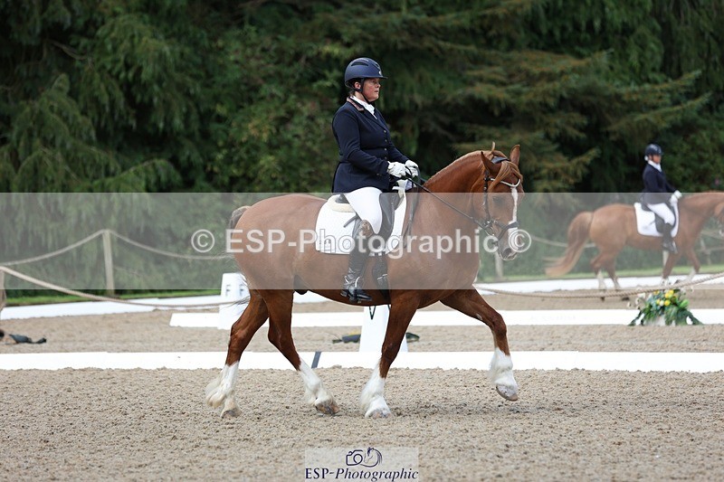 230813-095138-06167 - Cls 11 Elem Bronze Start to 10.50 break