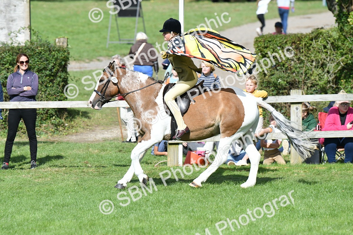 SBM_47108 - S12 - Family Horse & Pony