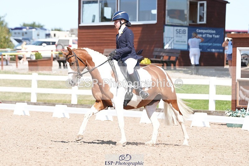 250817-144159-11030 - 199-Emily.BryerHarroway.Faerie.Dust