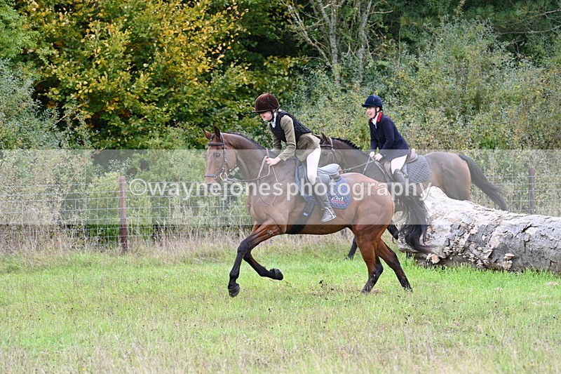 WJ7_3980 - Camera 1 Line 1