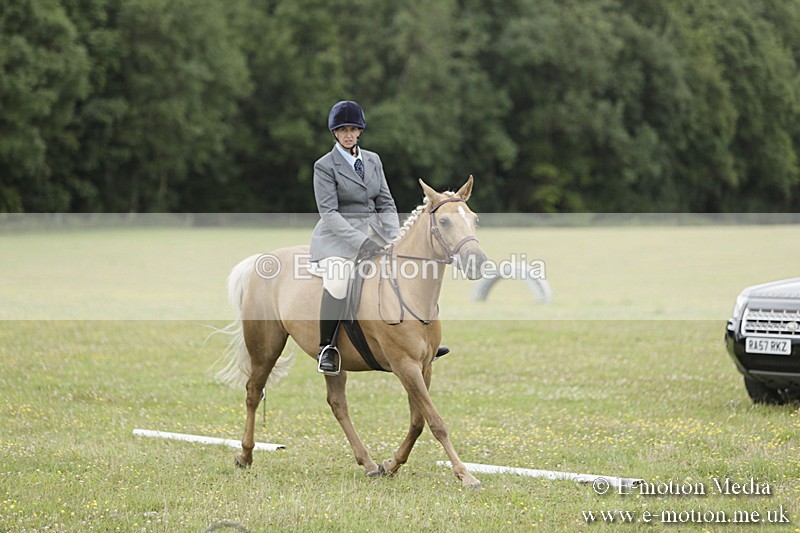 BVR160717-1188 - Class 2 Dressage 16/07/17
