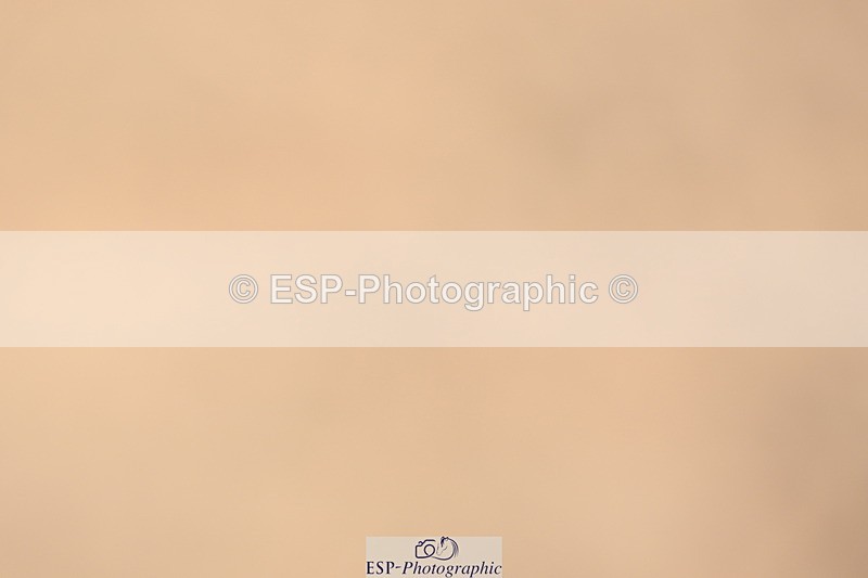 240323A-114641-01661 - DR Prelim 18