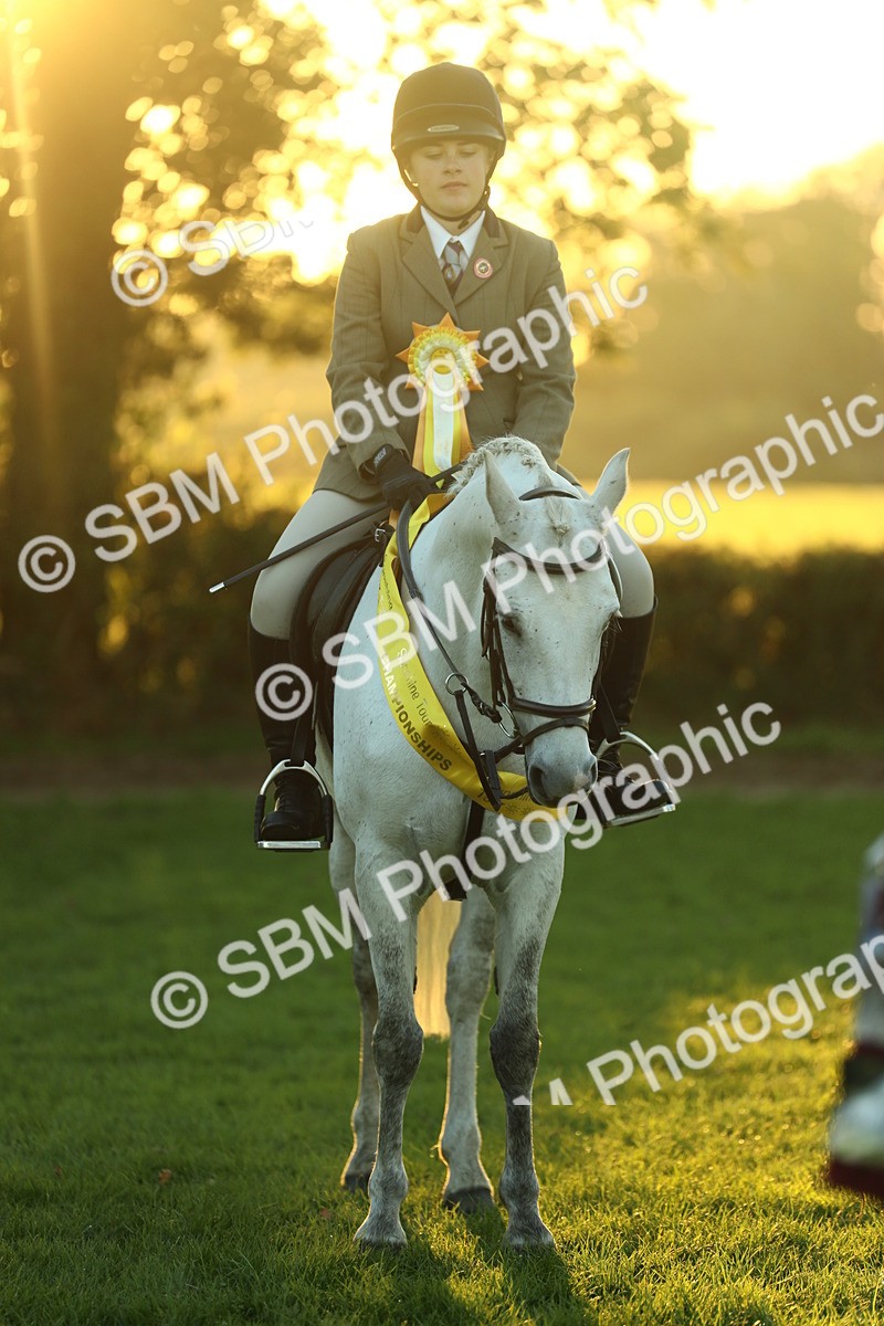 SBM_56638 - Fun & Versatile Supreme Championship