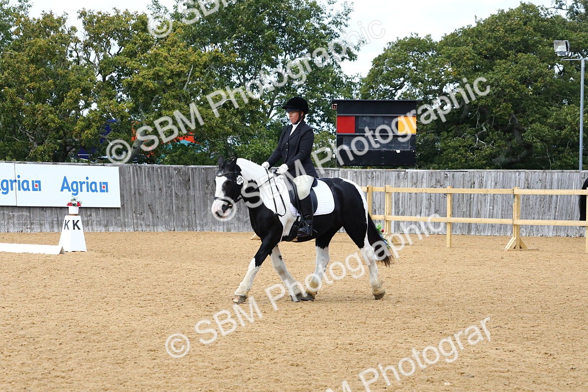 SBM_23430 - D5 - Small Tour Championshop Intro 2