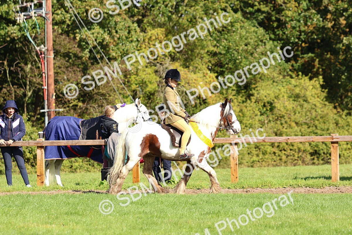 SBM_37417 - Fun Showing Supreme Championship