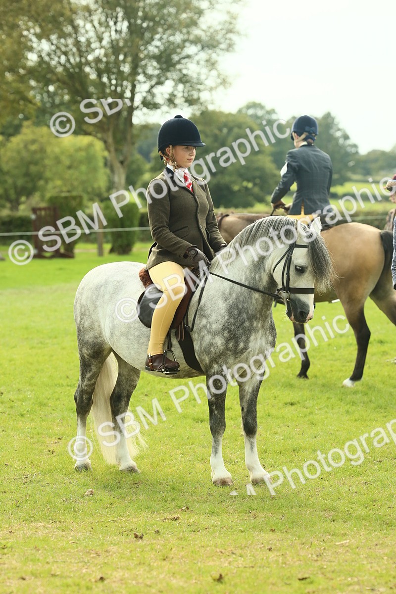 SBM_69841 - S59 - Mountain & Moorland Ridden Small Breeds