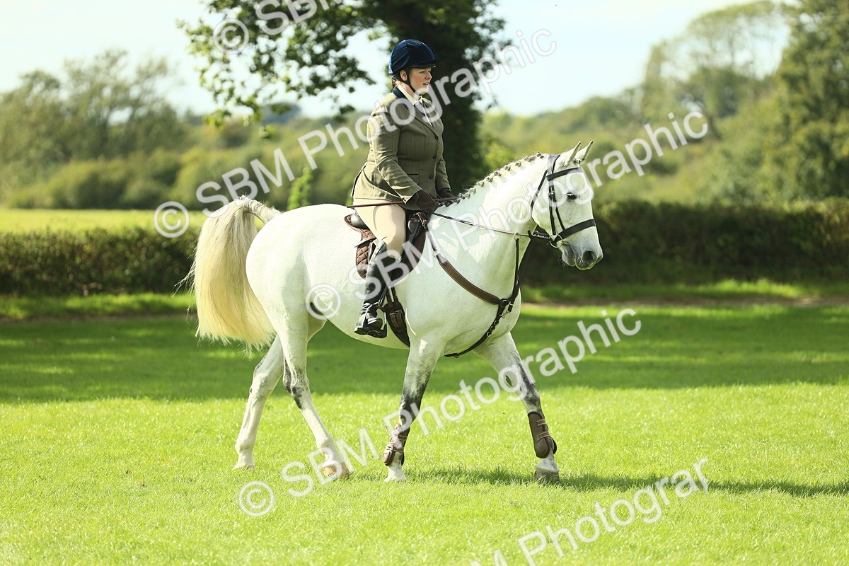 SBM_48049 - S32 - Novice & Newcomers Working Hunter