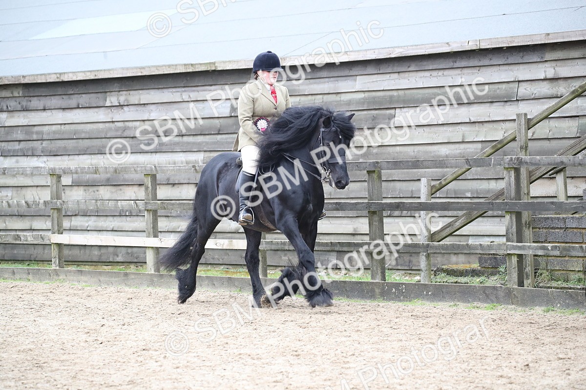 SBM_006478 - Class 10-13 - RIHS Small Large Breeds