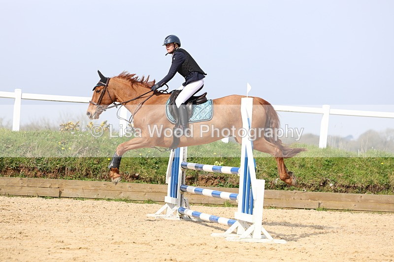 3E7A6771 - Class 4: Senior British Novice/90cm open