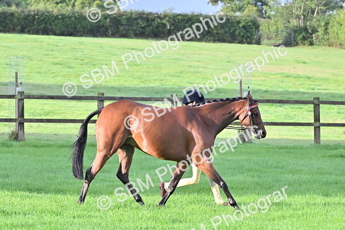 SBM_32620 - S15 - Top Turnout In Hand