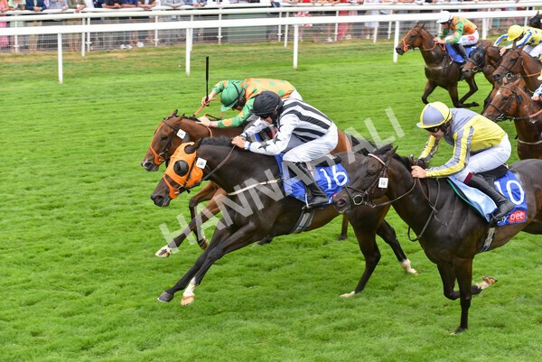 yr23072022r1-65 - Race 1 2.05pm Sky Bet Jump Jockeys Nunthorpe