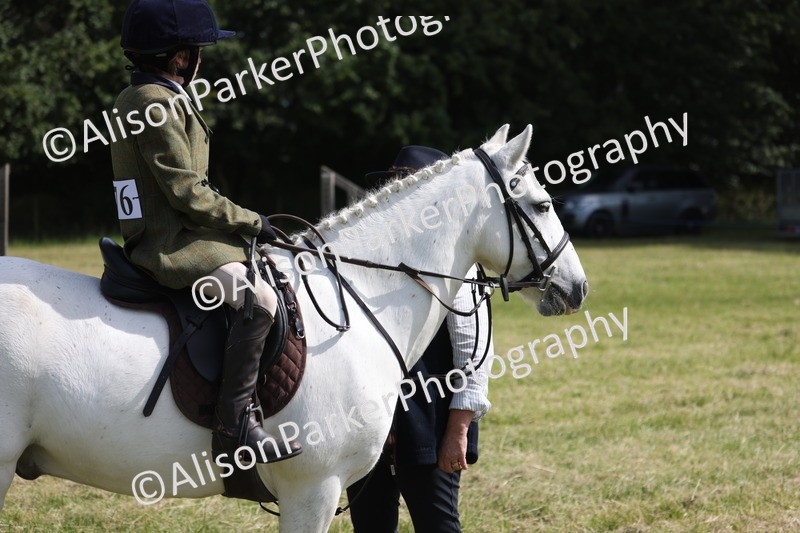 20260614-0656 - Class 20 - Beginners Working Hunter Pony