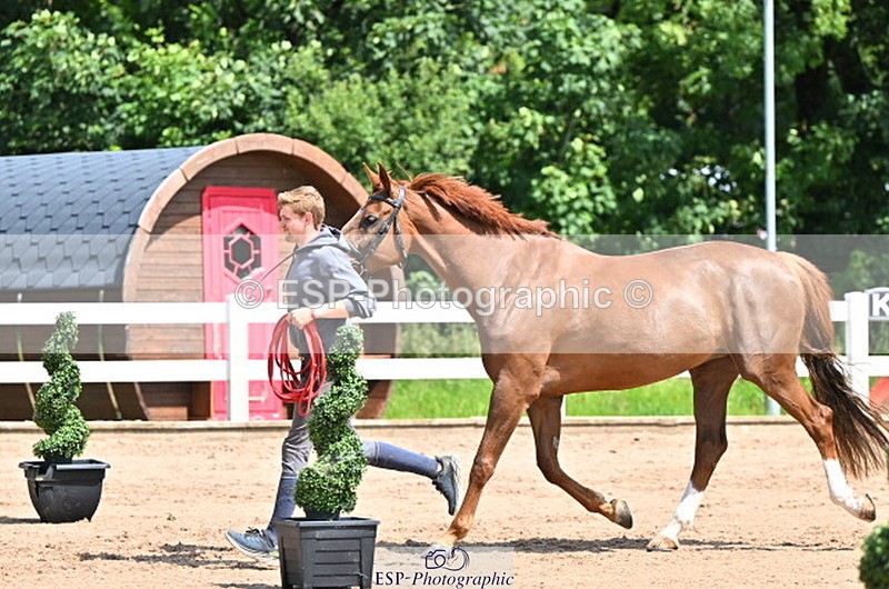 240718A-105242-01038 - Trot Up 11am to 12pm