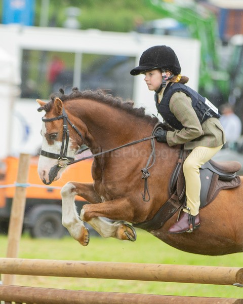 Dunblane show-224 - Dunblane and Doune Show Ring 1