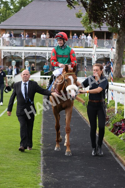 yr10062022r5-36 - Race 5 4.05pm Irish Thoroughbred Marketing Stakes