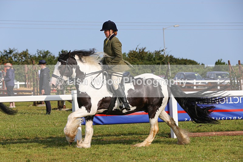 1X9A3293 - Class 28: Ridden Native/Trad Coloured Pony