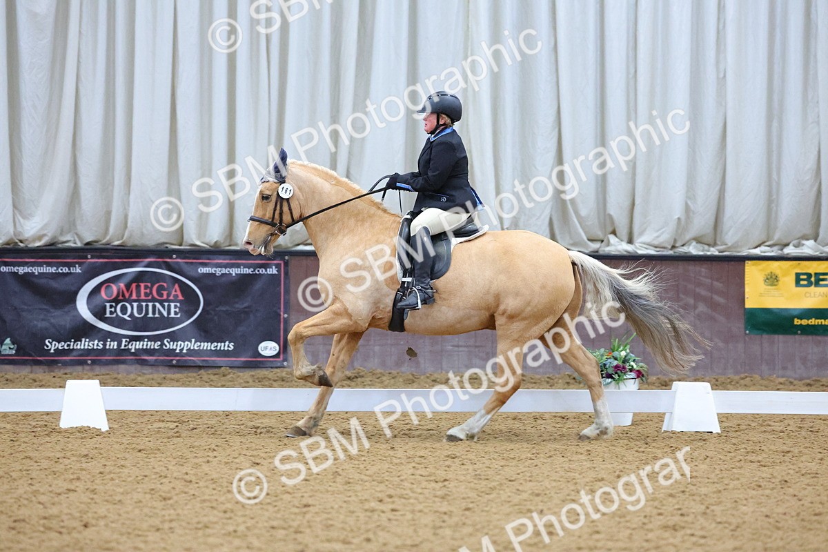 SBM_000890 - Novice