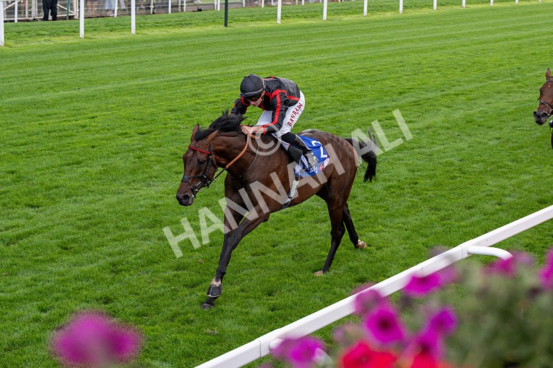 190826-Race 3-Maltese Cross-0346 - Race 3 15.00pm Sky Bet Great Voltigeur Stakes