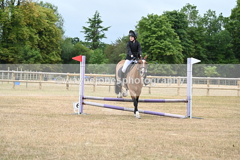 WJ6_0409 - Class 13 Novice Jumping 60cm