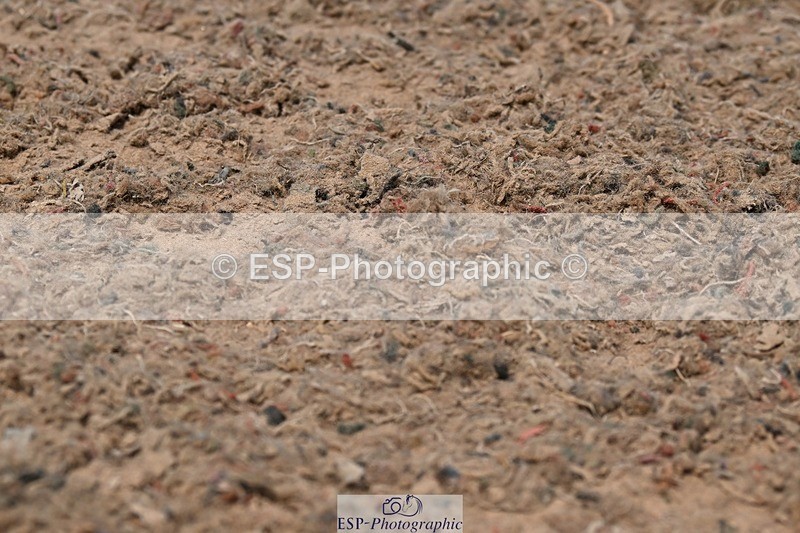 250621-144243-11555 - Cls 30 - Elementary 6