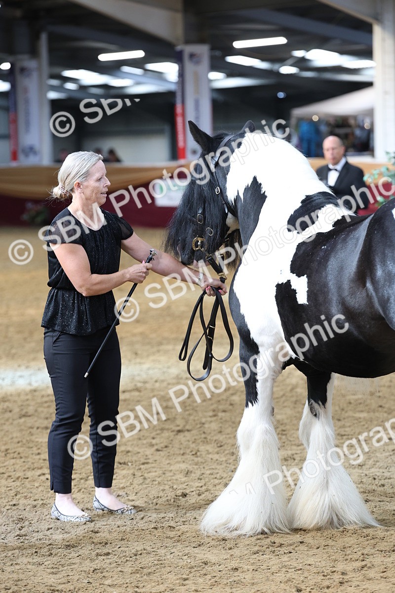 SBM_22532 - Class 902 - Supreme Final - IH Diamond