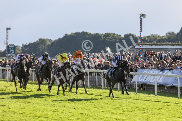 141023-Race 5-Certain Lad-0525 - Race 5 3.35pm Coral Racing Bet Bundles Handicap