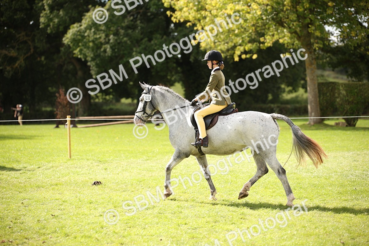 SBM_42293 - S13 - Pony Club Pony