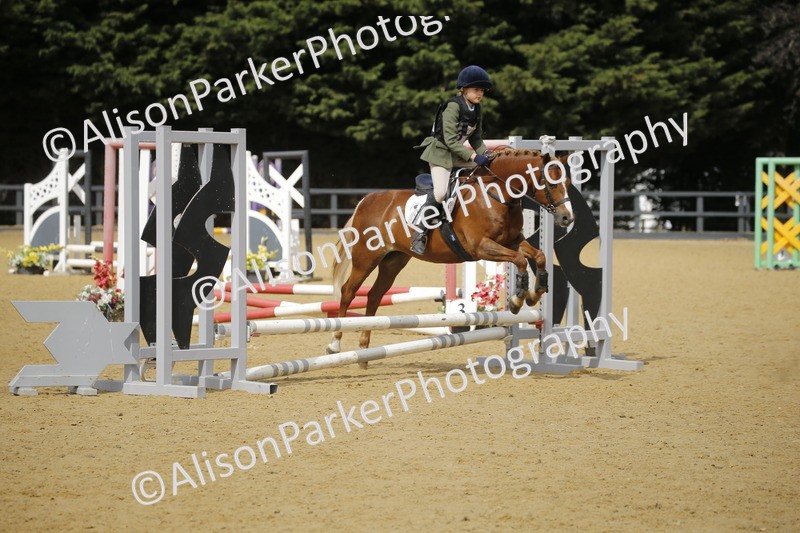 20250622-3759 - 50cm