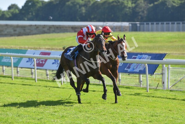  - Race 6 4.50pm The Ice Co supporting Macmillan Stakes